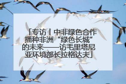 专访丨中非绿色合作播种非洲“绿色长城”的未来——访毛里塔尼亚环境部长拉格达夫