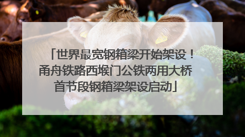 世界最宽钢箱梁开始架设！甬舟铁路西堠门公铁两用大桥首节段钢箱梁架设启动