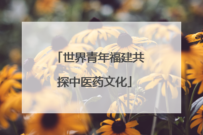 世界青年福建共探中医药文化