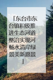 东台市东台镇积极推进生态河道整治实现河畅水清岸绿景美新愿景