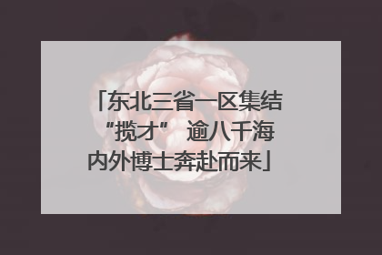 东北三省一区集结“揽才” 逾八千海内外博士奔赴而来