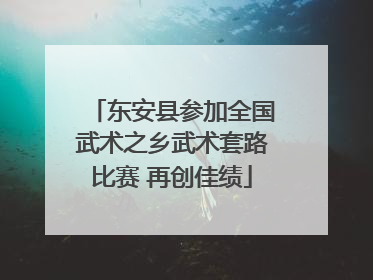 东安县参加全国武术之乡武术套路比赛 再创佳绩