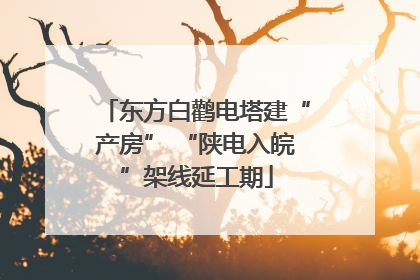 东方白鹳电塔建“产房” “陕电入皖”架线延工期