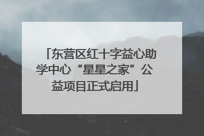 东营区红十字益心助学中心“星星之家”公益项目正式启用
