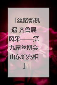 丝路新机遇 齐鲁展风采——第九届丝博会山东馆亮相