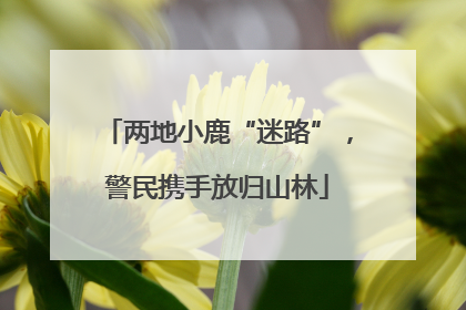 两地小鹿“迷路”，警民携手放归山林