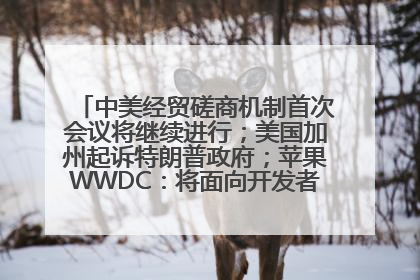 中美经贸磋商机制首次会议将继续进行；美国加州起诉特朗普政府；苹果WWDC：将面向开发者推出苹果智能模型；中办、国办发文，事关民生丨每经早参
