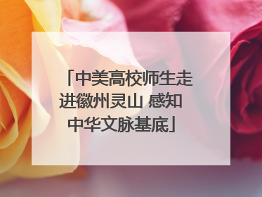 中美高校师生走进徽州灵山 感知中华文脉基底