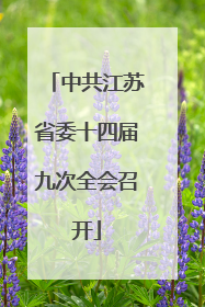 中共江苏省委十四届九次全会召开