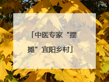 中医专家“摆摊”宜阳乡村