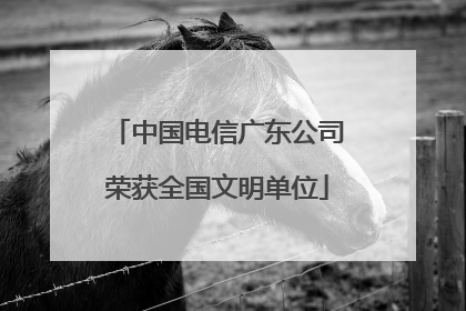 中国电信广东公司荣获全国文明单位