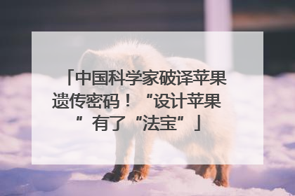 中国科学家破译苹果遗传密码！“设计苹果”有了“法宝”