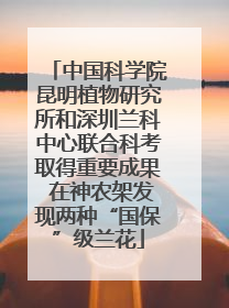 中国科学院昆明植物研究所和深圳兰科中心联合科考取得重要成果 在神农架发现两种“国保”级兰花