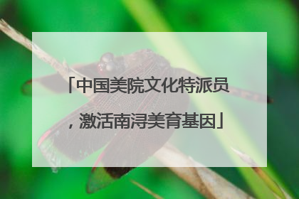 中国美院文化特派员，激活南浔美育基因
