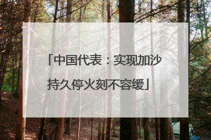中国代表：实现加沙持久停火刻不容缓