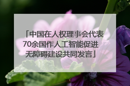 中国在人权理事会代表70余国作人工智能促进无障碍建设共同发言