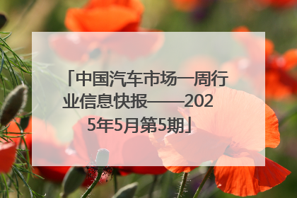 中国汽车市场一周行业信息快报——2025年5月第5期