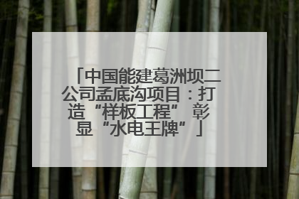 中国能建葛洲坝二公司孟底沟项目：打造“样板工程” 彰显“水电王牌”