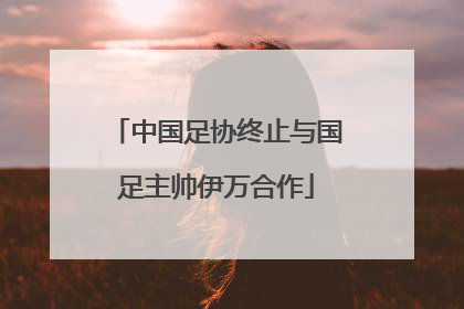 中国足协终止与国足主帅伊万合作