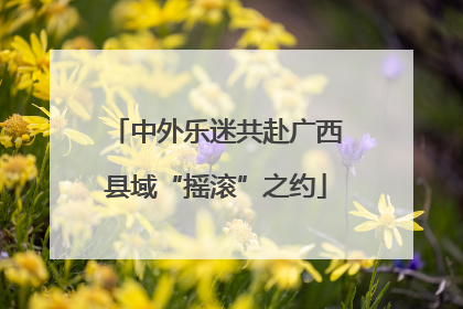 中外乐迷共赴广西县域“摇滚”之约