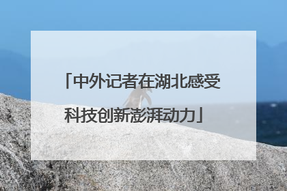 中外记者在湖北感受科技创新澎湃动力