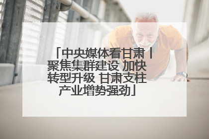 中央媒体看甘肃丨聚焦集群建设 加快转型升级 甘肃支柱产业增势强劲