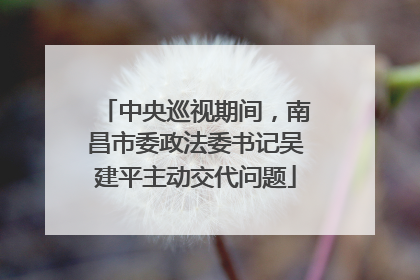 中央巡视期间，南昌市委政法委书记吴建平主动交代问题