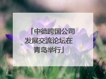 中德跨国公司发展交流论坛在青岛举行