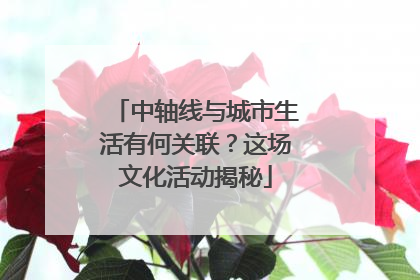 中轴线与城市生活有何关联？这场文化活动揭秘