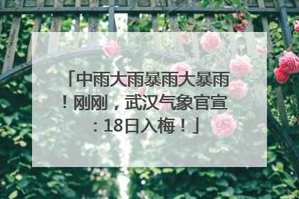 中雨大雨暴雨大暴雨！刚刚，武汉气象官宣：18日入梅！