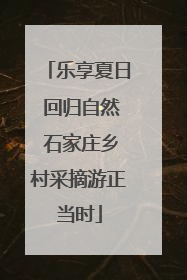 乐享夏日 回归自然 石家庄乡村采摘游正当时