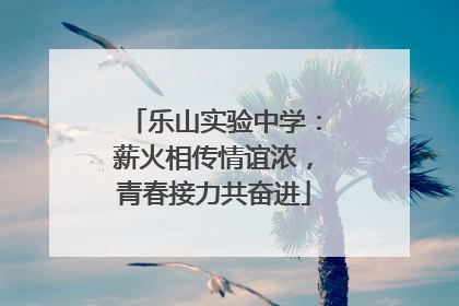 乐山实验中学：薪火相传情谊浓，青春接力共奋进