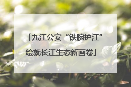 九江公安“铁腕护江”绘就长江生态新画卷
