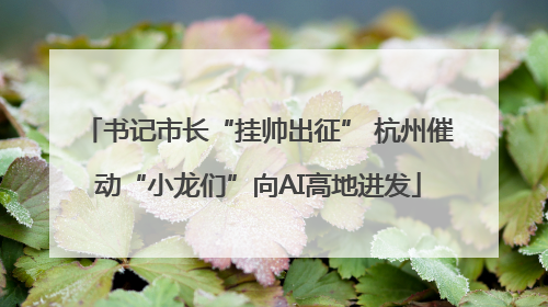 书记市长“挂帅出征” 杭州催动“小龙们”向AI高地进发