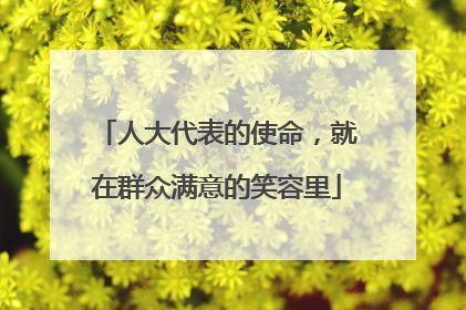 人大代表的使命，就在群众满意的笑容里