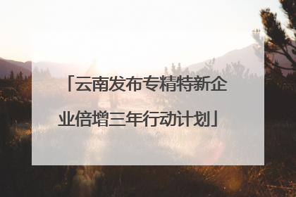 云南发布专精特新企业倍增三年行动计划