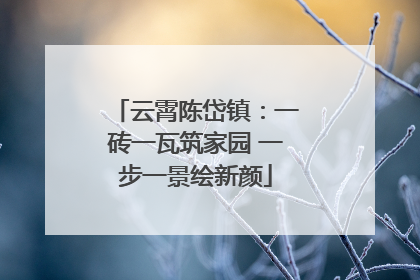 云霄陈岱镇：一砖一瓦筑家园 一步一景绘新颜