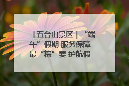 五台山景区｜“端午”假期 服务保障最“粽”要 护航假期“不打烊”