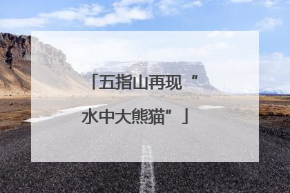 五指山再现“水中大熊猫”