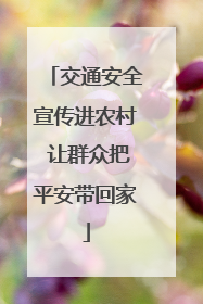 交通安全宣传进农村 让群众把平安带回家