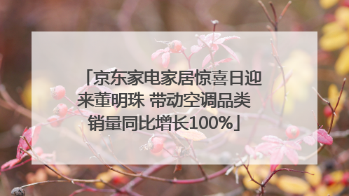 京东家电家居惊喜日迎来董明珠 带动空调品类销量同比增长100%