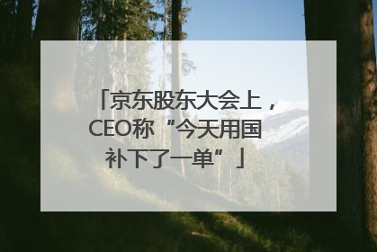 京东股东大会上，CEO称“今天用国补下了一单”