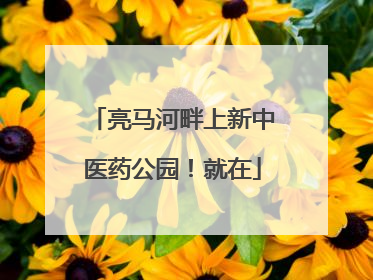亮马河畔上新中医药公园！就在