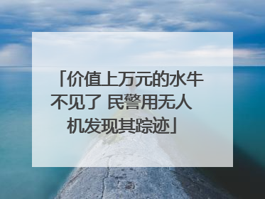价值上万元的水牛不见了 民警用无人机发现其踪迹