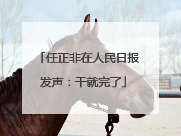 任正非在人民日报发声：干就完了