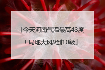 今天河南气温最高43度！局地大风9到10级