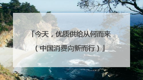 今天，优质供给从何而来（中国消费向新而行）