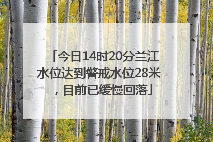 今日14时20分兰江水位达到警戒水位28米，目前已缓慢回落
