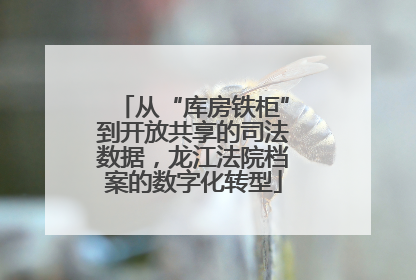 从“库房铁柜”到开放共享的司法数据，龙江法院档案的数字化转型
