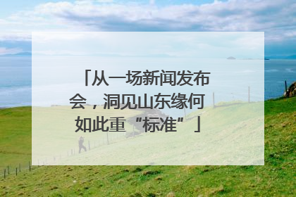从一场新闻发布会，洞见山东缘何如此重“标准”